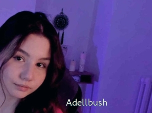 Adellbush