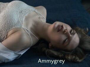 Ammygrey