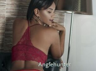 Angiehunter