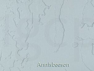 Annisbeeson