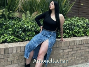 Antonellachan