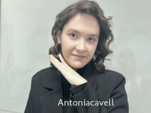 Antoniacavell