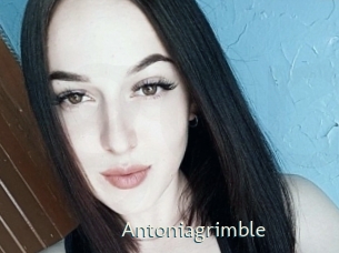 Antoniagrimble