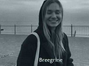 Breegrine