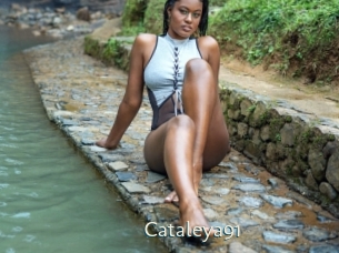 Cataleya91