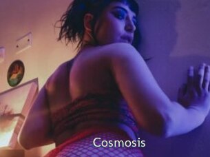 Cosmosis