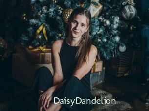 DaisyDandelion