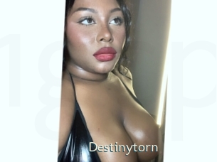 Destinytorn