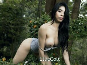 EllieColt