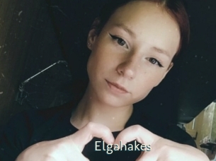 Elgahakes