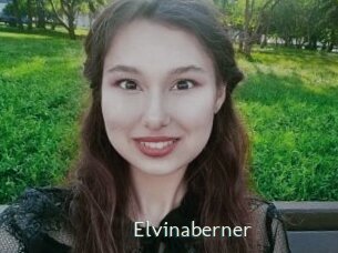 Elvinaberner