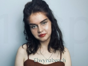 Elwynabench