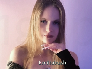 Emiliabush