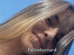 Falineburnard