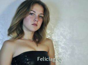 Feliciagrey