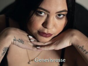 Genesisrosse