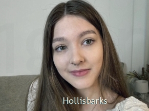 Hollisbarks