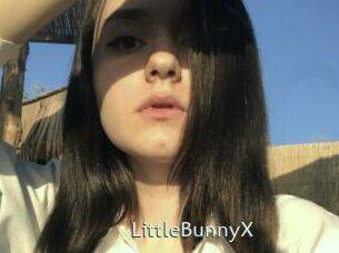 LittleBunnyX