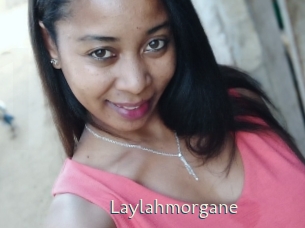 Laylahmorgane