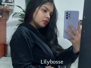 Lilybosse