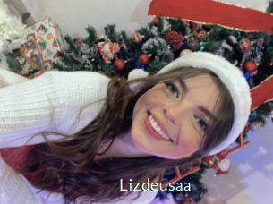 Lizdeusaa