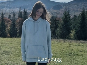 Lladybugg