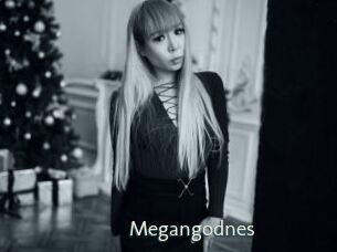 Megangodnes