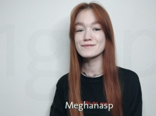 Meghanasp