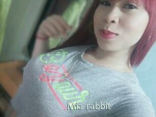 Mia_rabbit