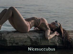 Nicesuccubus