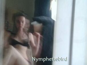 Nymphettebird