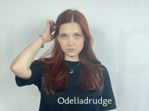 Odeliadrudge