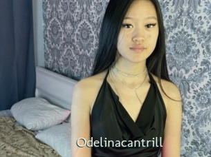 Odelinacantrill