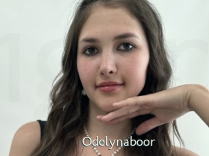 Odelynaboor