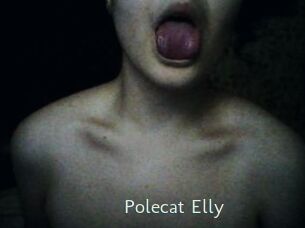 Polecat_Elly