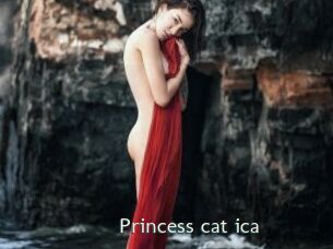 Princess_cat_ica