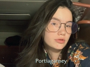 Portiagarney