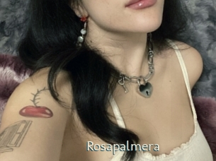 Rosapalmera