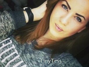 TinyTess