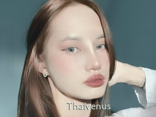 Thaivenus