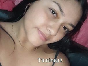 Tinnimark