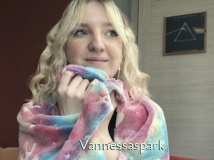 Vannessaspark